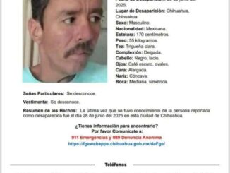 Guadalupe Adrián Coronado Romero